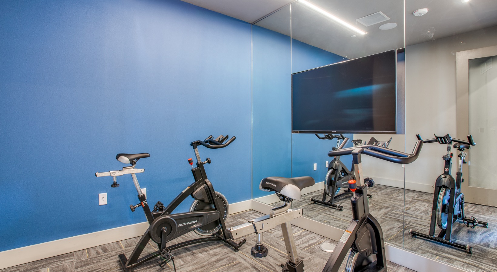 a gym room with exercise bikes and a television at The Ramble and Rose